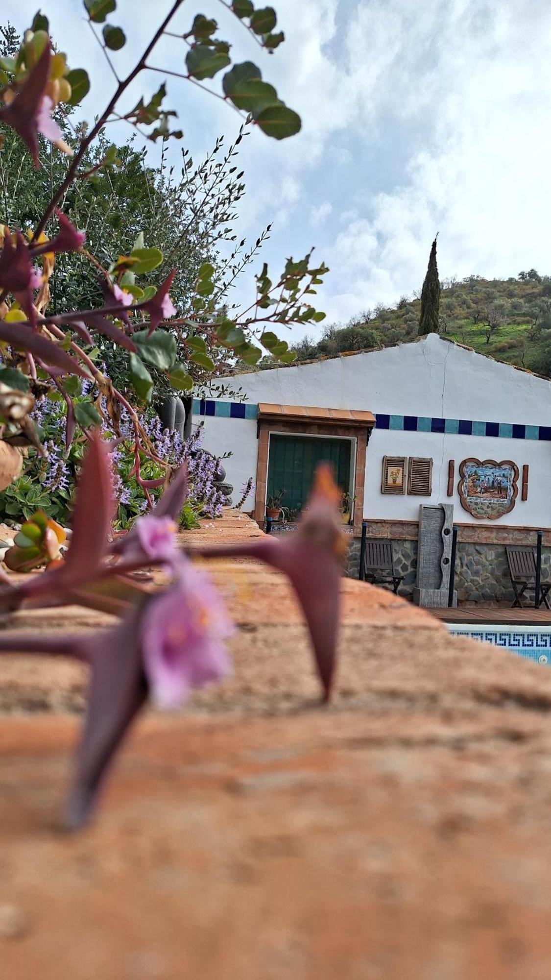 Finca Los Burros Tolatán Eksteriør billede